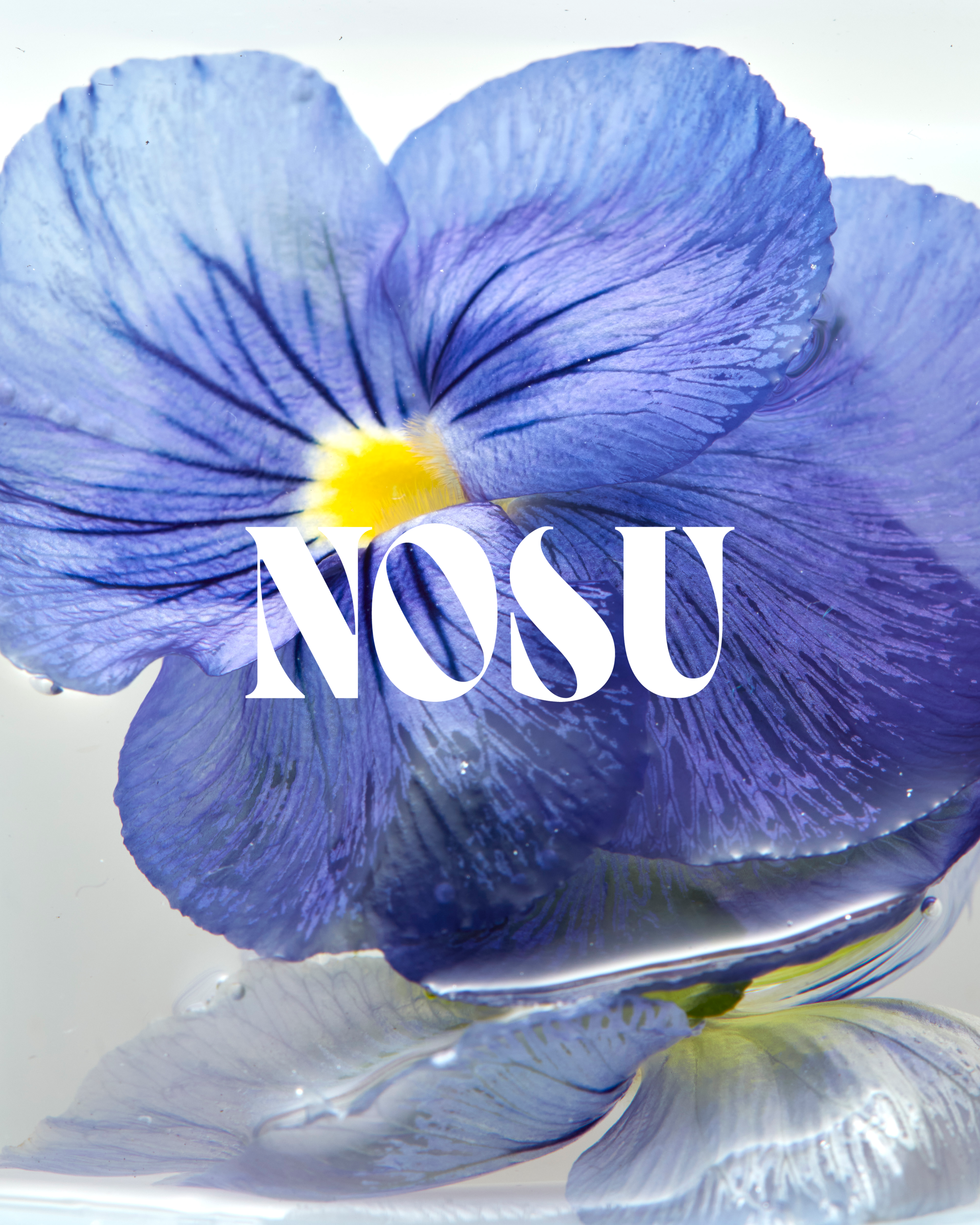 Scents – Nosu