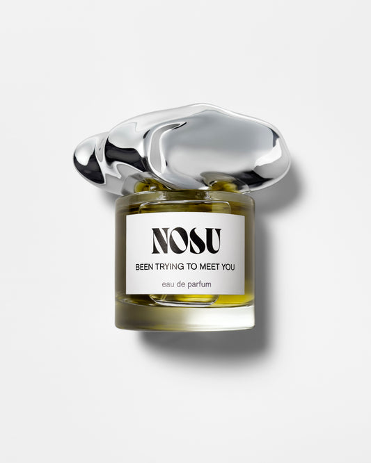 Been Trying To Meet You - 50ml Perfume